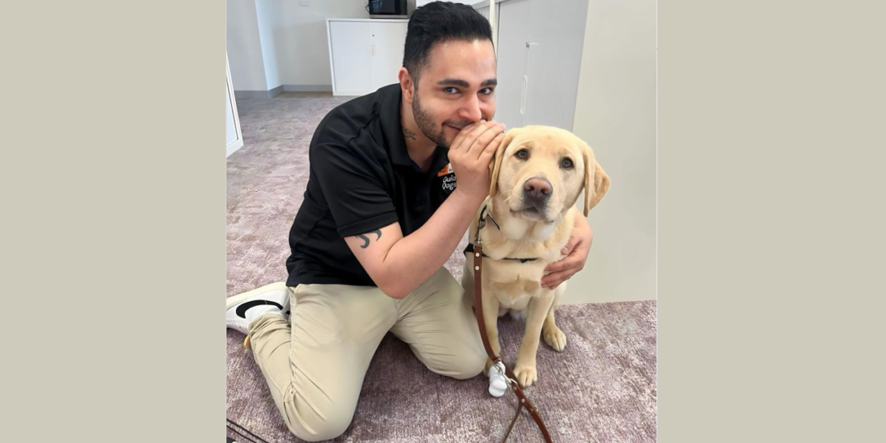 Guide Dogs to Feature in ChillOut Parade