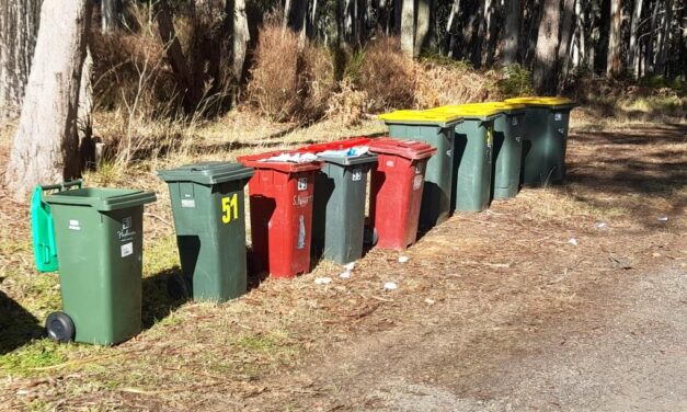 Community Satisfaction Survey Results Released