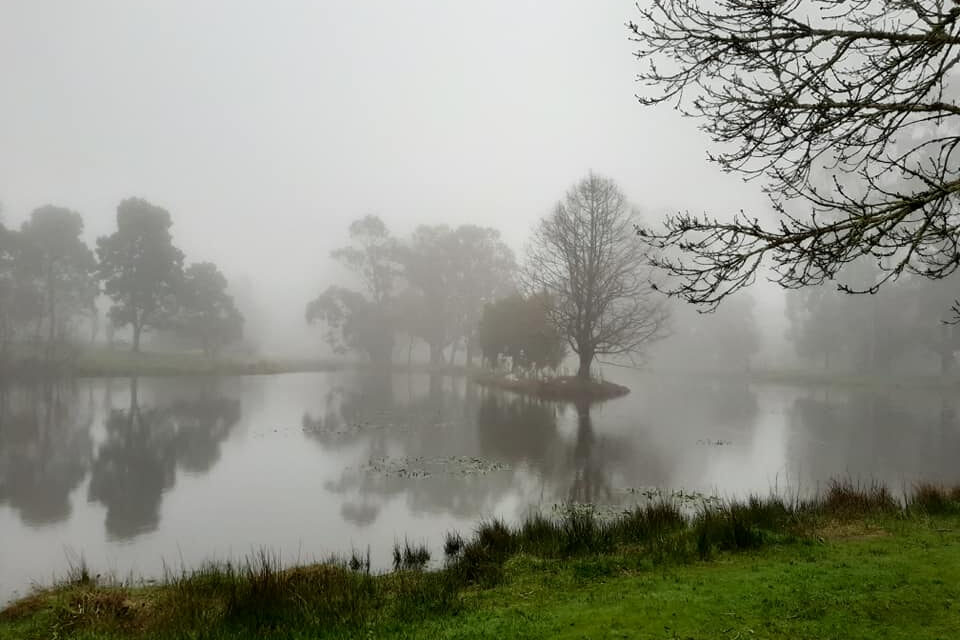 Photo of the Week – Winter at Trentham Lake