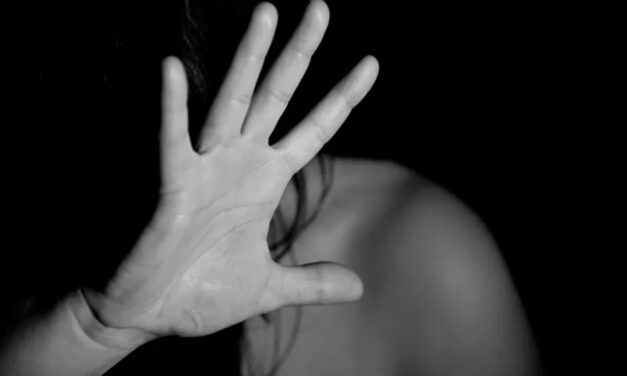 What Drives Family Violence?