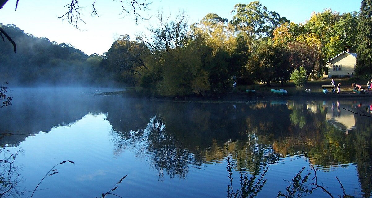 Try Bushwalking in November