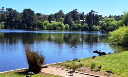 Spring Weather Settles In – But Very Dry