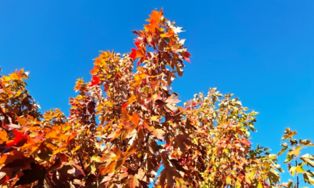 Will Autumn Rains Come? Warm, Dry Conditions to Continue