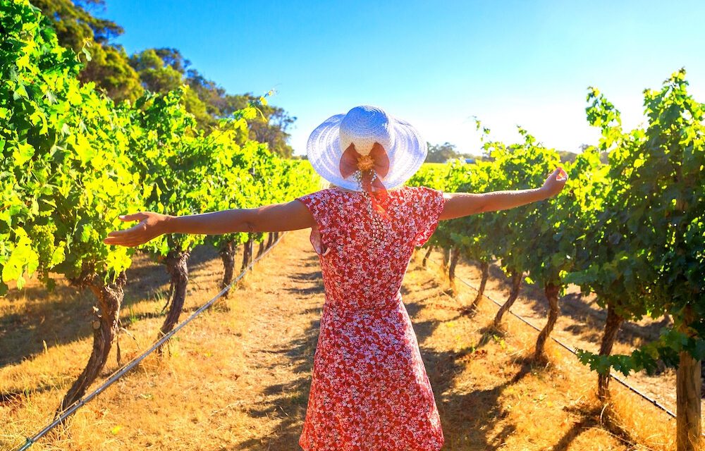 Margaret River Destination Guide: Top Drops and Fine Fare