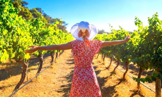 Margaret River Destination Guide: Top Drops and Fine Fare