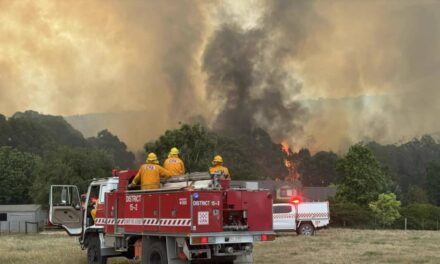 Council Opposes Emergency Services Levy