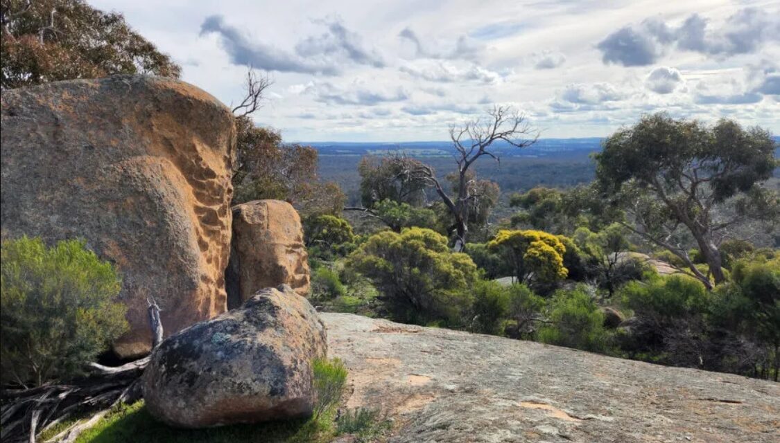 Dja Dja Wurrung Take First Steps Towards Local Treaty Negotiations