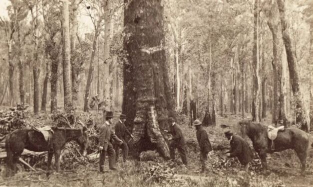 The History Files:  Benjamin Burman, Convict Father of One of the Three Lost Children