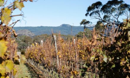 The Secret of Hanging Rock