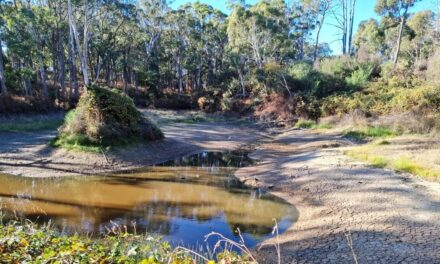 Of Droughts and Flooding Rains