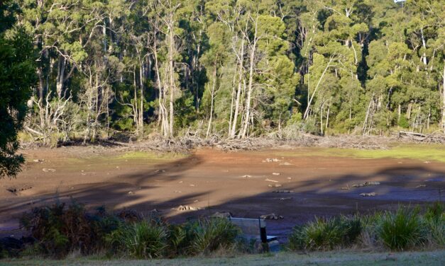 Water Restrictions to Commence in Daylesford and Hepburn Region from July 1