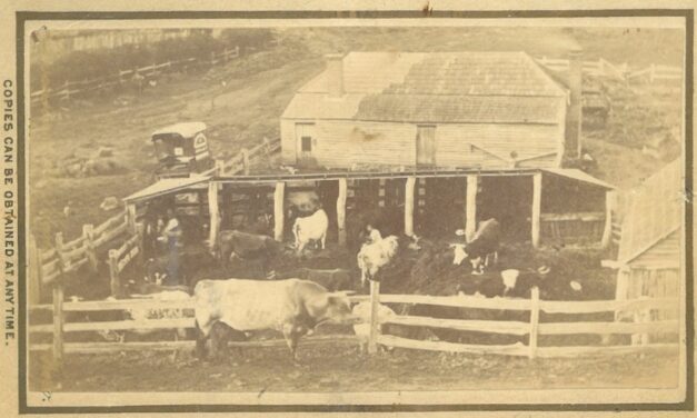 The History Files: When the Gold was Gone and Land was Cheap