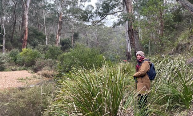 Nature Diary: The One Constant Is Change on the Lerderderg Track
