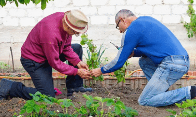 Healthy Daylesford: Taking Care of Your Back in the Garden