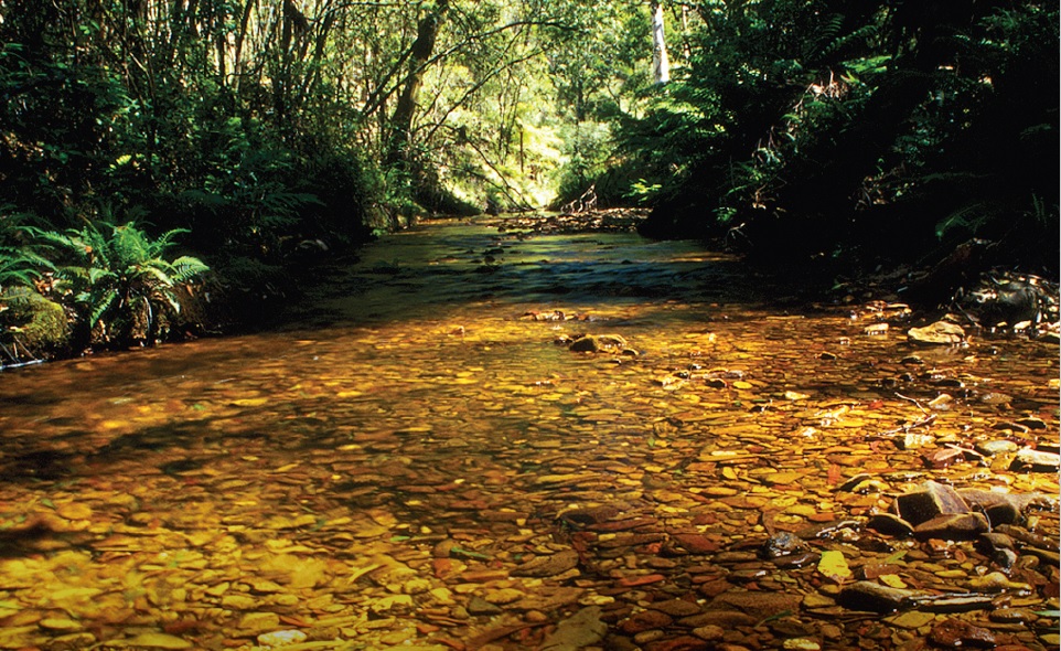 Wombat Lerderderg National Park Approved Securing Future of Key Landscapes
