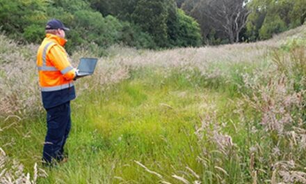 Council Fire Hazard Inspections Underway Ahead of Fire Danger Period