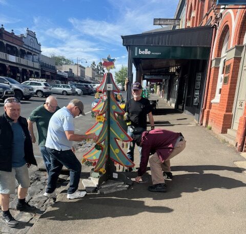 Local Christmas Trees Out and About
