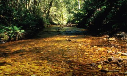 Daylesford Launch of Lerderderg Track Guide Makes 300km of Hiking and Biking Trails Truly Accessible
