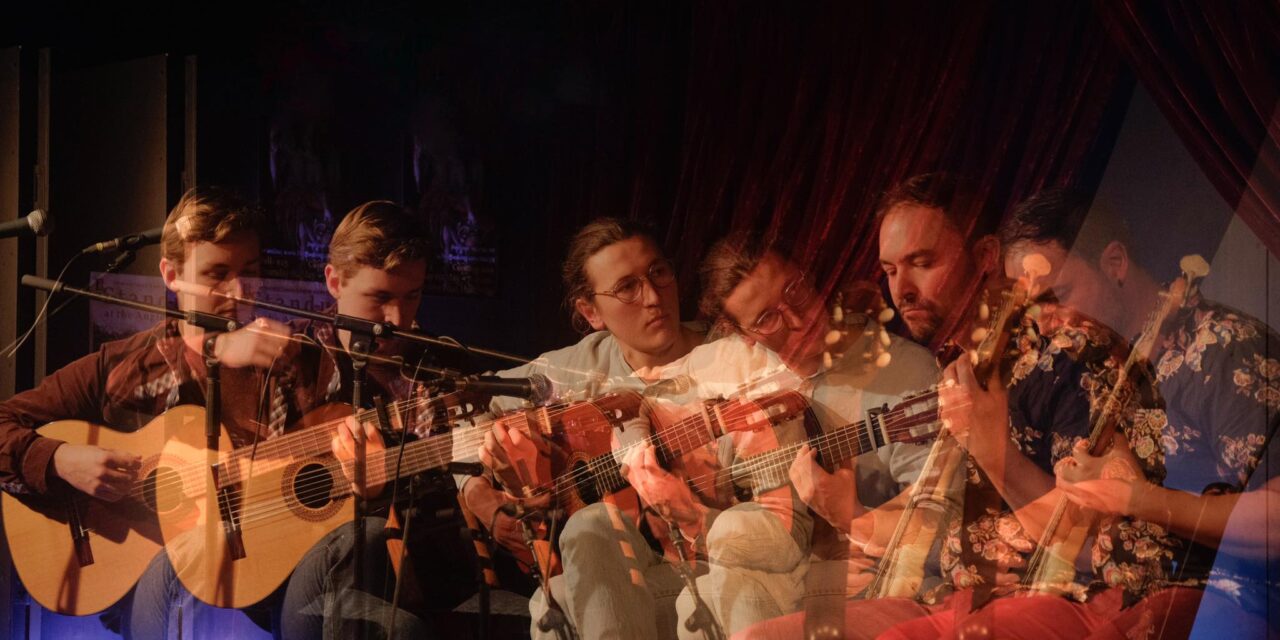 PLUCK! Plucked-String Music From Around the World