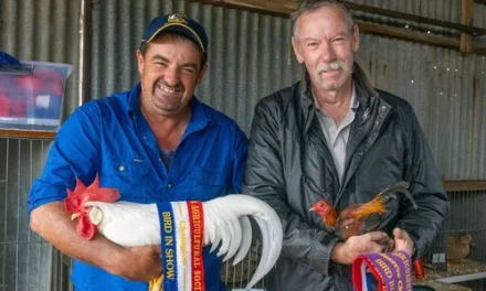 Get Ready: Kingston Agricultural Show Returns This Weekend