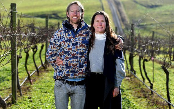 Combine Art and Wine to Tingle All Your Senses