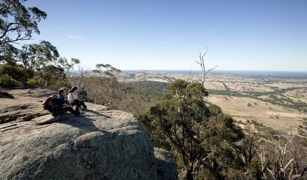 Fires and Logging Close Sections of Popular Walking and Mountain Bike Trails