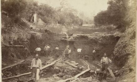 The History Files:   The Chinese in Daylesford – 1850s & 60s