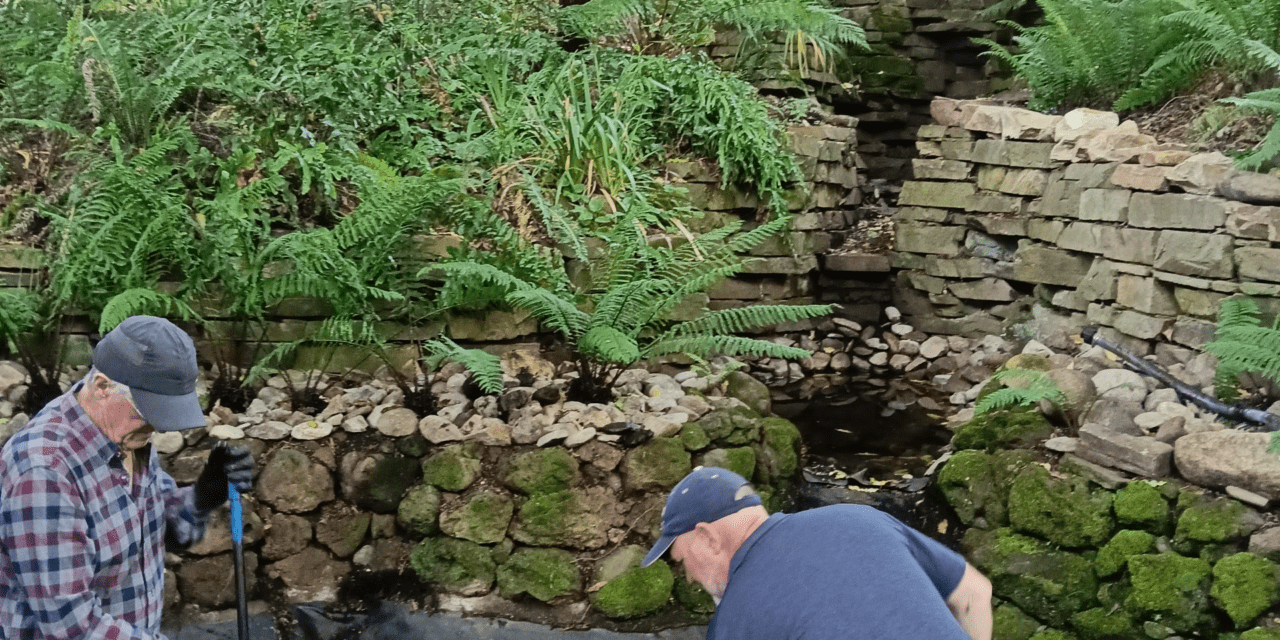 The Friends of Wombat Hill Botanic Gardens Working on THE FERNERY