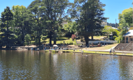 Extreme Summer Conditions in Some Areas