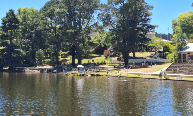 Extreme Summer Conditions in Some Areas