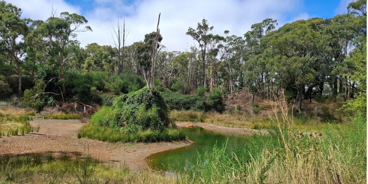 Nice Rainfalls in February – but drier conditions are forecast
