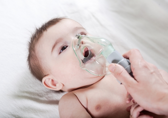 Whooping Cough is Back!