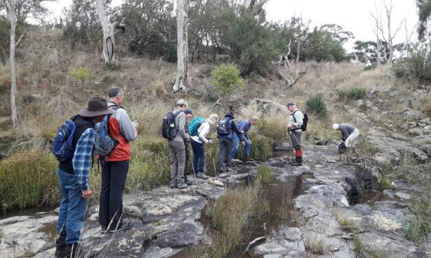 Walking Country: Nature, Trails and the Future of Outdoor Tourism