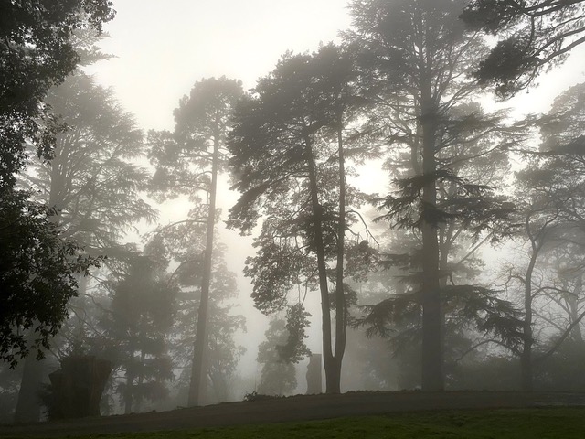 Easter Reflection: Finding Renewal in a Season of Shadows