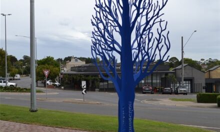 Daylesford College Live4Life members embrace Blue Tree project