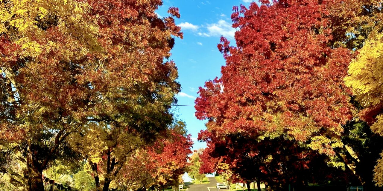 Picture of the week: Autumn has arrived