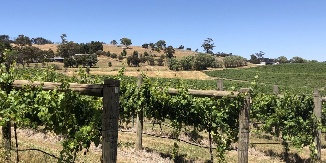 Shiraz around the country