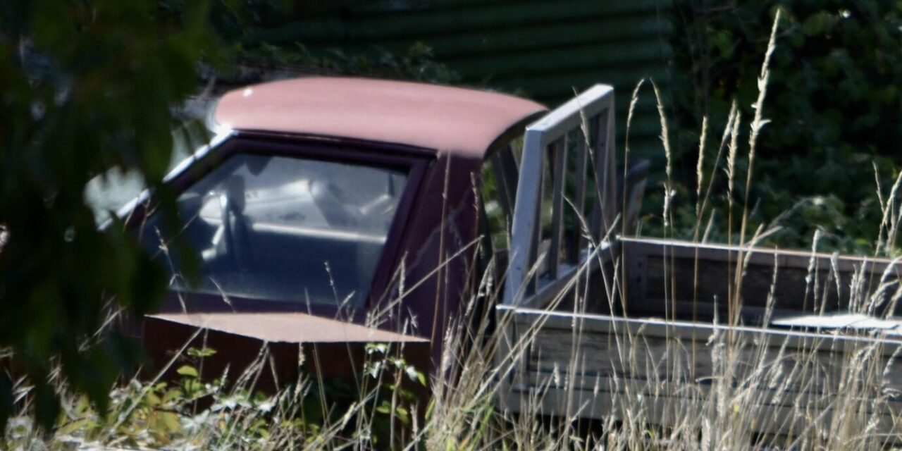 Council issues heavy fines for derelict vehicles and illegal land clearing
