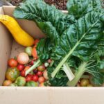 Volunteers at the heart of Daylesford’s Growing Paddock & Pantry Project