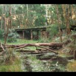 Council Closes Domino Trail Bridge