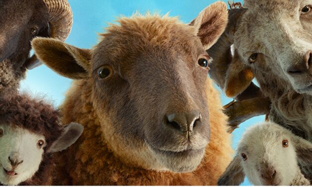 Sheep Detectives and more at the Phoenix