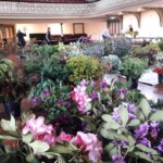 Town Hall has been transformed into a Florist's Shop. (Photo: Margaret Hodge)