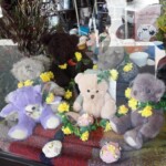 Spa Centre CWA display at Magic Pudding.