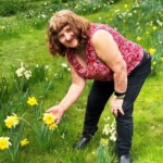 Verna Baker among her beloved daffodils. (Photo: Robyn Rogers)
